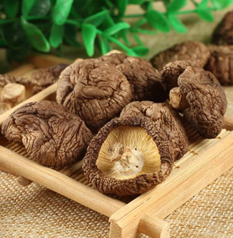 干香菇怎么保存 干香菇存储的5个要点