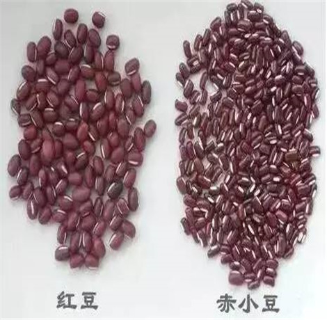 怎么种红豆才能让红豆长得快 5a38afb561a56_275_275.jpg