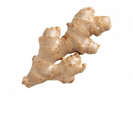 经期可以用生姜泡脚吗 经期用生姜泡脚有什么好处