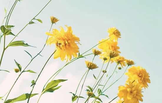 忌安床的日子安床了怎么办 四种简单实用的化