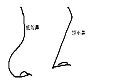 鼻子大的男人好不好