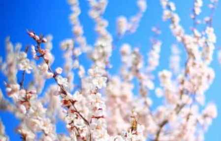 2018年2月理发吉日 2月宜理发好日子查询表