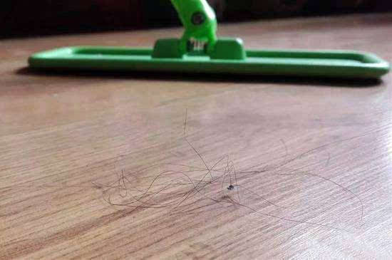 吸尘器有必要买吗 吸尘器有必要买吗