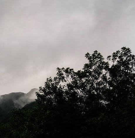 5a6190c54715a_275_275.jpg
