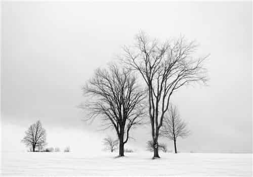 梦见下雪天