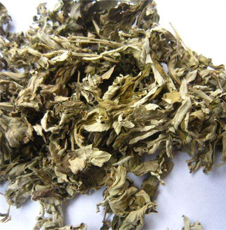 艾叶能治胃病吗 并未有治疗胃病的功效