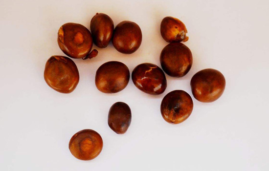 枇杷核能吃吗枇杷核有毒吗