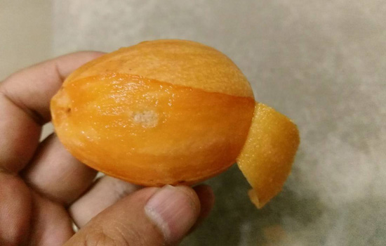 枇杷皮能吃吗枇杷全身都是宝