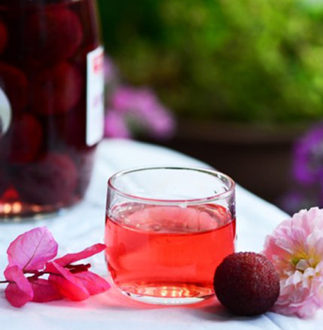 杨梅酒的杨梅可以吃吗 杨梅酒泡多久杨梅取出