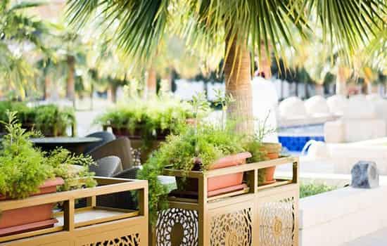 2018年6月结婚黄道吉日 6月宜婚嫁吉日一览表