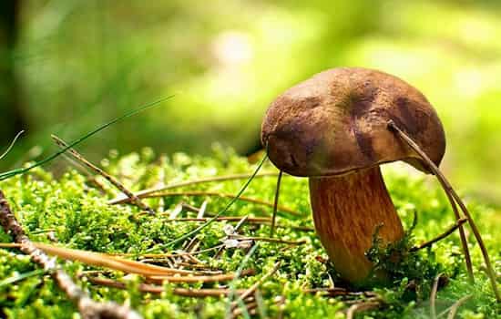 2018年6月结婚黄道吉日 6月宜婚嫁吉日一览表