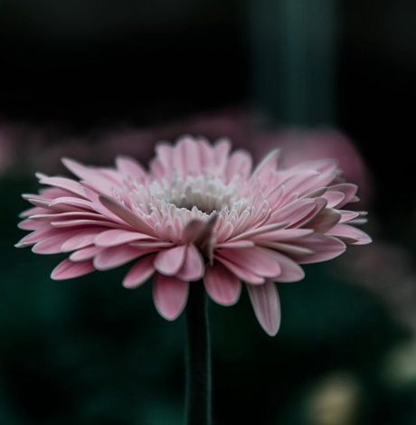 入宅吉日查询2018年4月