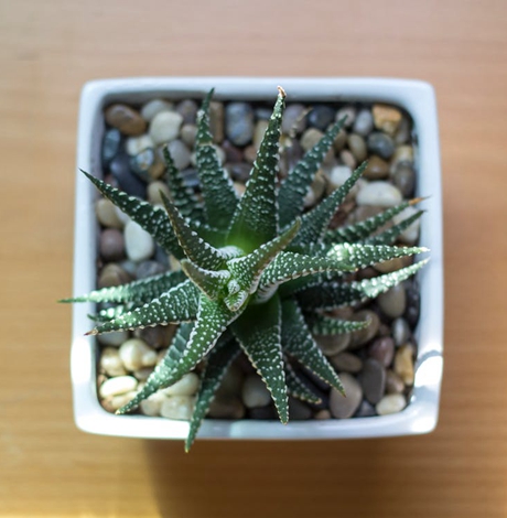 2018新房入宅黄道吉日4月份