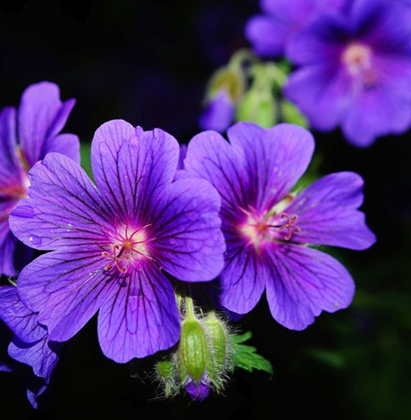 2018年6月5号生子吉时