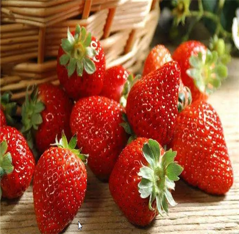 什么食物不适合放冰箱 15种食物不宜放冰箱