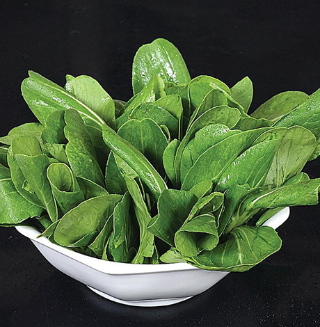 油菜减肥法 通便强身瘦10斤