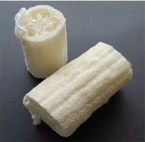丝瓜络作用及功效 丝瓜络的用处可多了