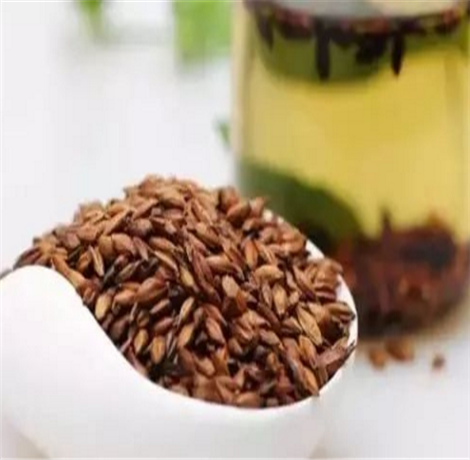 饭后喝什么茶能消脂 每天饭后喝它去油腻