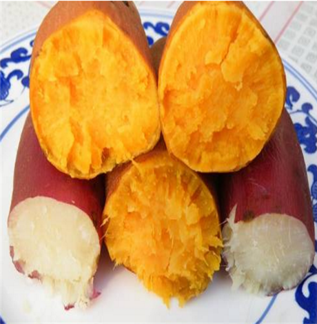 帮助燃脂的食物 燃脂食材排行榜推荐