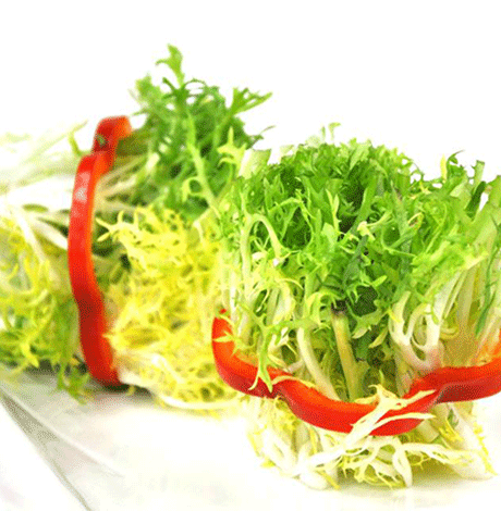 孕妇能吃苦菊吗 少吃苦菊以免寒气重