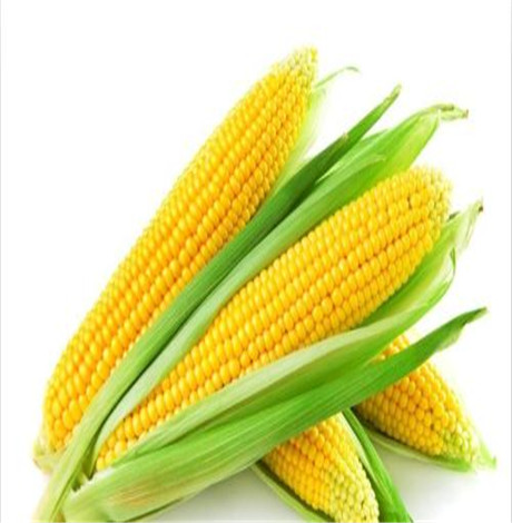 玉米减肥食谱 玉米这样吃轻松瘦肚子