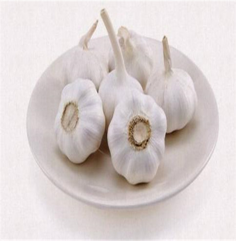 大蒜的吃法及功效 常吃大蒜预防疾病好