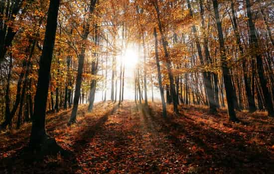 2018年6月6日黄历 黄道吉日吉时一览表