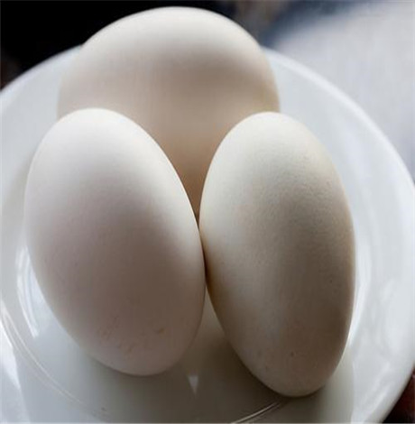 吃鹅蛋的好处 吃鹅蛋有什么好处