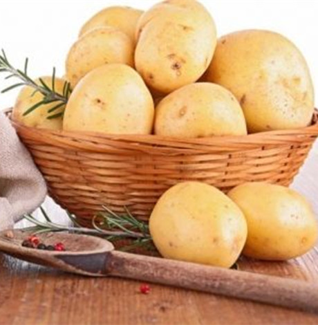 吃土豆有什么功效和作用 吃个它胜过10个苹果