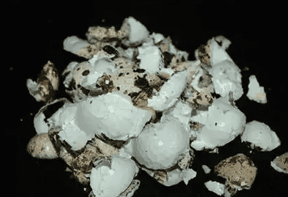 5b0dfe92c4d51_550_0.png
