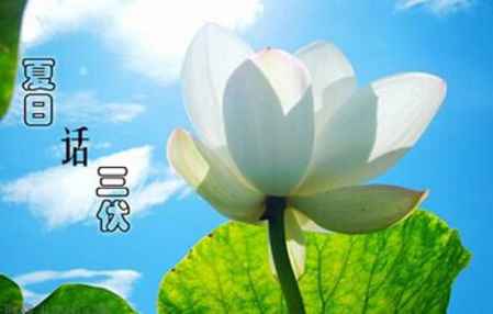 什么时候天气会慢慢变热 5b1f7167da291_450_0.jpg