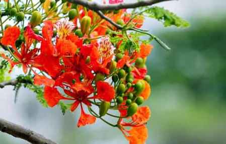 2018年7月19日黄历 黄道吉日吉时一览表