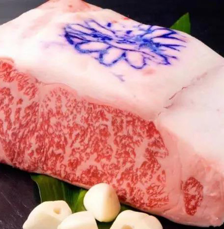 神户牛肉多少钱一斤