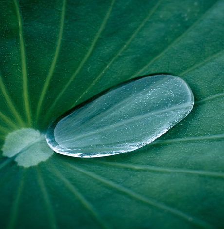 纯露和爽肤水使用顺序 纯露和爽肤水的区别
