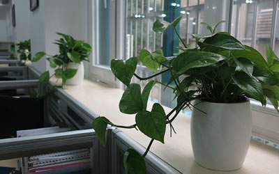 风水学 风水学