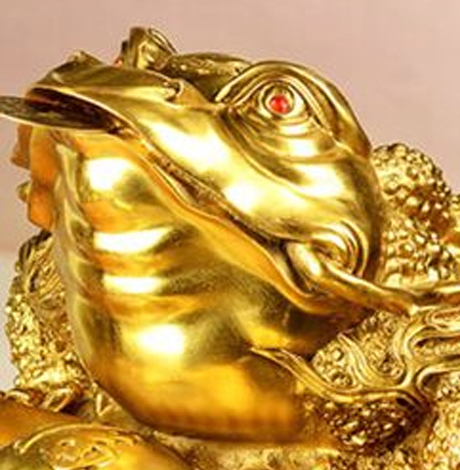 金蟾别人摸了怎么办 金蟾被摸后的处理方法