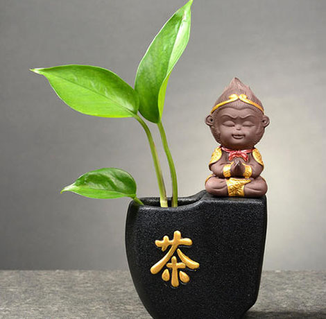植物摆件枯萎的影响