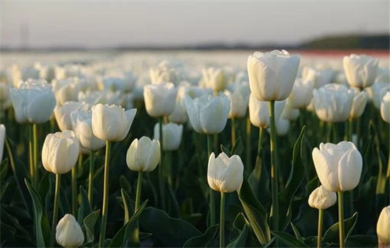 流浪地球2什么时候上映 流浪地球2上映时间