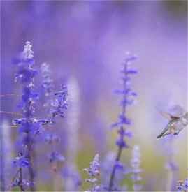 光子嫩肤的价格如何 光子嫩肤多久做一次