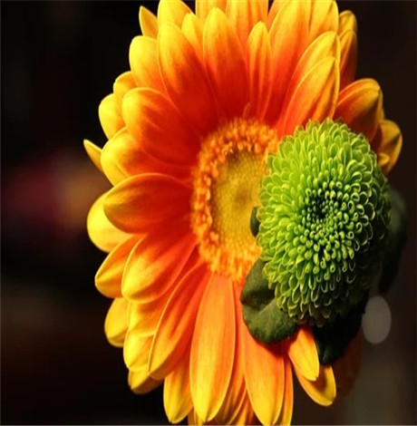 5ee086656d718_300_300.jpg
