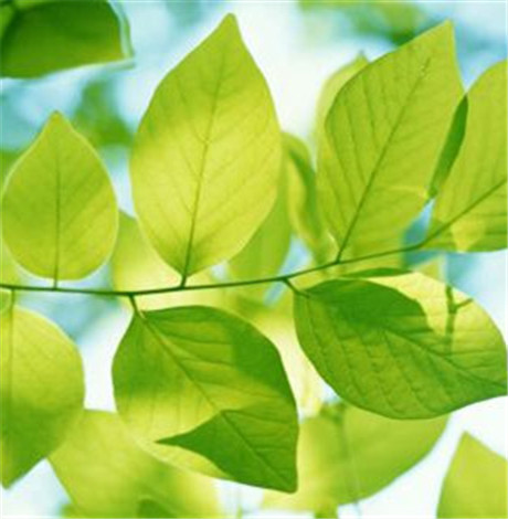 GELLÉ FRÈRES法国婕珞芙公益大课堂第二讲落幕，多层面推进生物多样性保护