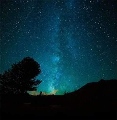 天蝎座和射手座配不配 有仇必报的星座都有哪些呢