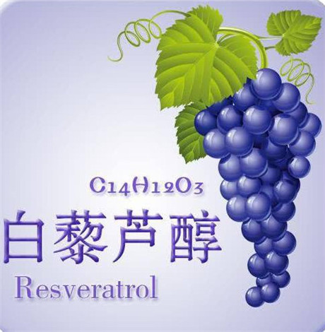 白藜芦醇对女性的功效 哪些人不能喝白藜芦醇
