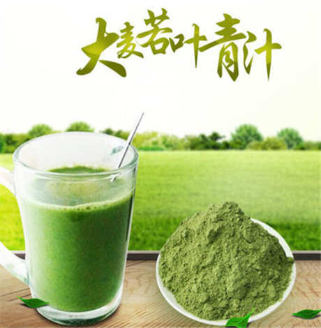 ​喝大麦青汁能减肥吗