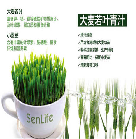 ​早上空腹可以喝大麦青汁吗
