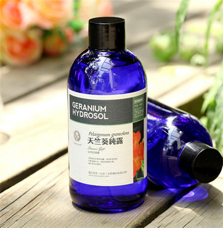 天竺葵纯露的功效与作用
