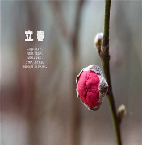 ​立春为什么又叫打春