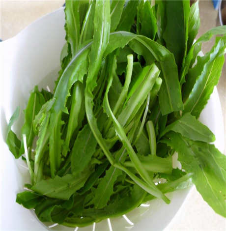 ​立春吃什么蔬菜好