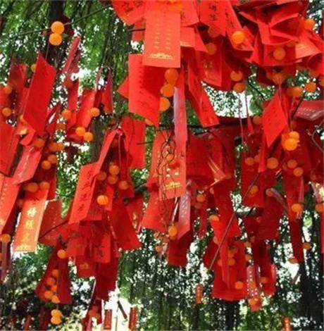 大年初六吃什么好