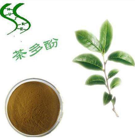 茶多酚的功效详细说明茶多酚的三大功效(茶多酚多少钱)